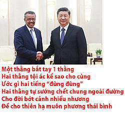 Click image for larger version

Name:	tedros v tập.jpg
Views:	0
Size:	108.3 KB
ID:	1566419