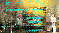 Click image for larger version

Name:	NHỚ DNG THU XƯA.jpg
Views:	0
Size:	252.0 KB
ID:	2128462