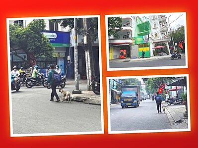 Thất nghiệp tr�n lan tại Th�nh Hồ, dắt ch� t�m việc 3 ng�y kh�ng th�nh