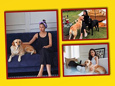 Một ch� ch� cưng chết, h�ng ng�n tờ b�o Việt Cộng lao v�o cuộc đua c�u view